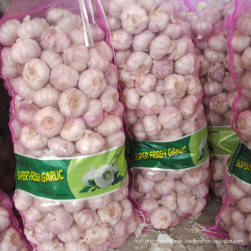 20kg mesh bag Chinese normal white garlic price in Pakistan